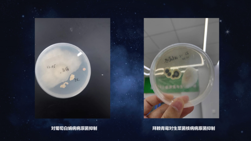 爱隆唐老师在第八届中国有机肥发展大会上专题报告内容