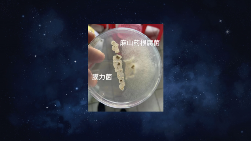 爱隆唐老师在第八届中国有机肥发展大会上专题报告内容