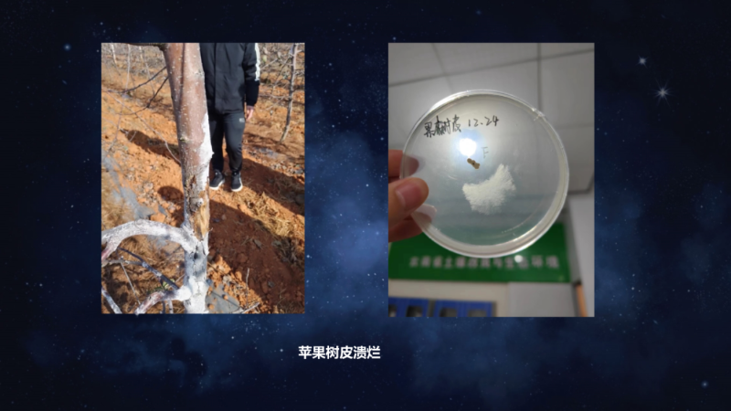 爱隆唐老师在第八届中国有机肥发展大会上专题报告内容