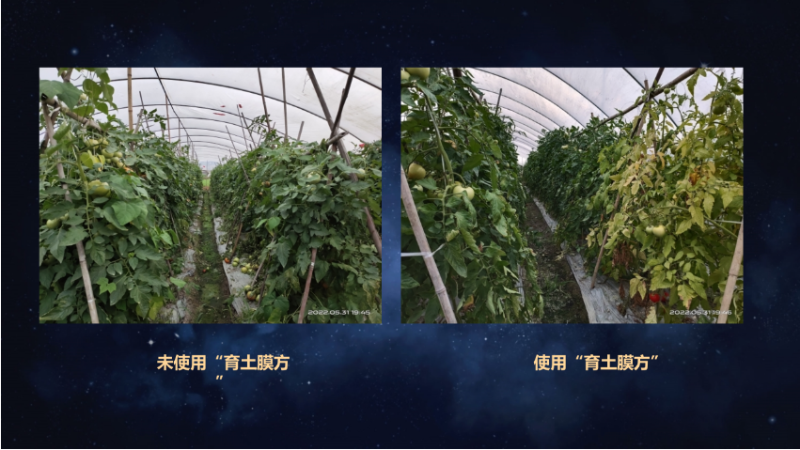 爱隆唐老师在第八届中国有机肥发展大会上专题报告内容