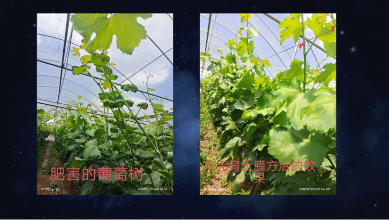 爱隆唐老师在第八届中国有机肥发展大会上专题报告内容