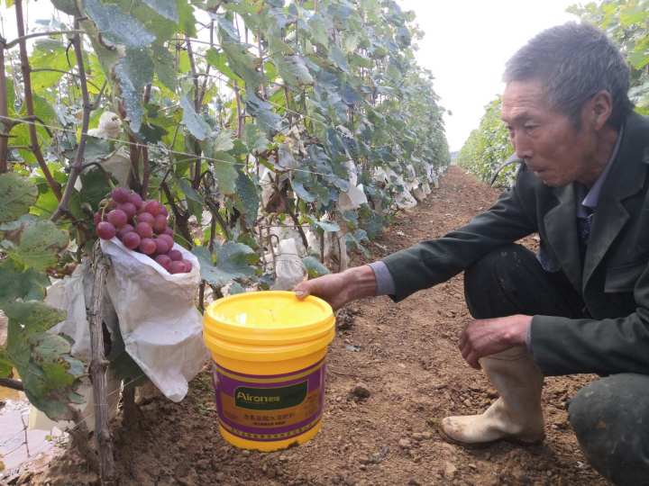 爱隆水溶肥