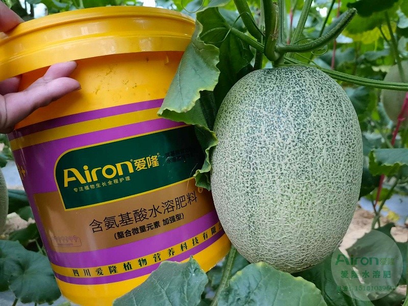 氨基酸水溶肥