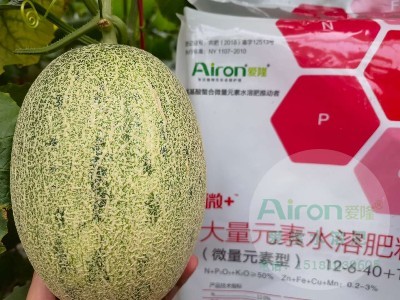 特肥