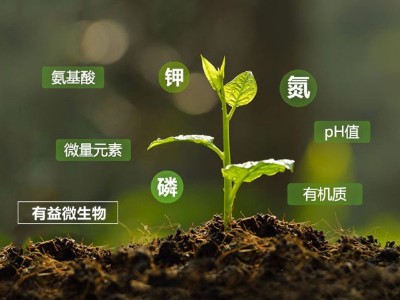什么是生物有机肥