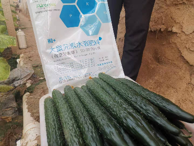 水溶性肥料怎么用