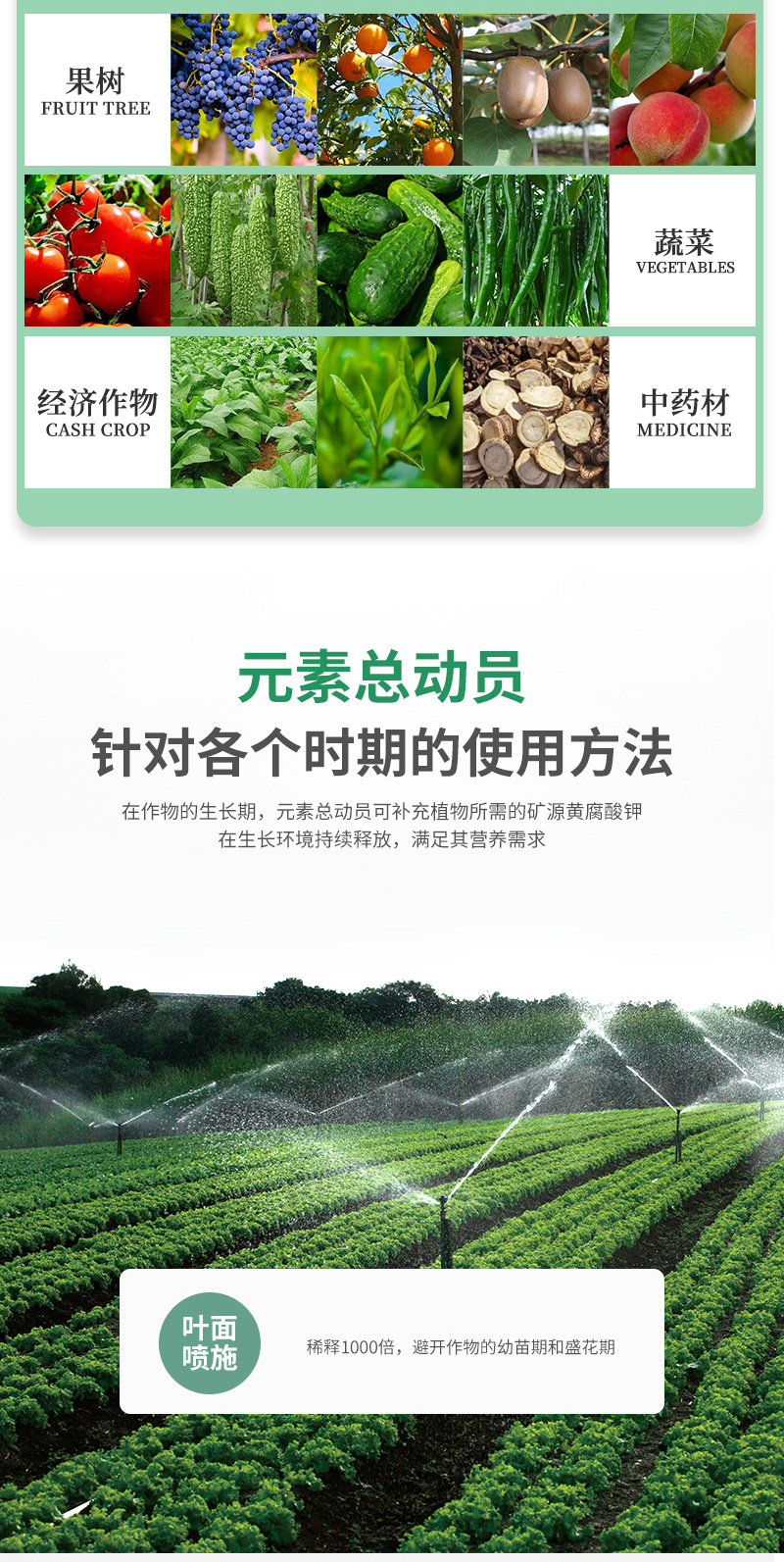 元素总动员_08