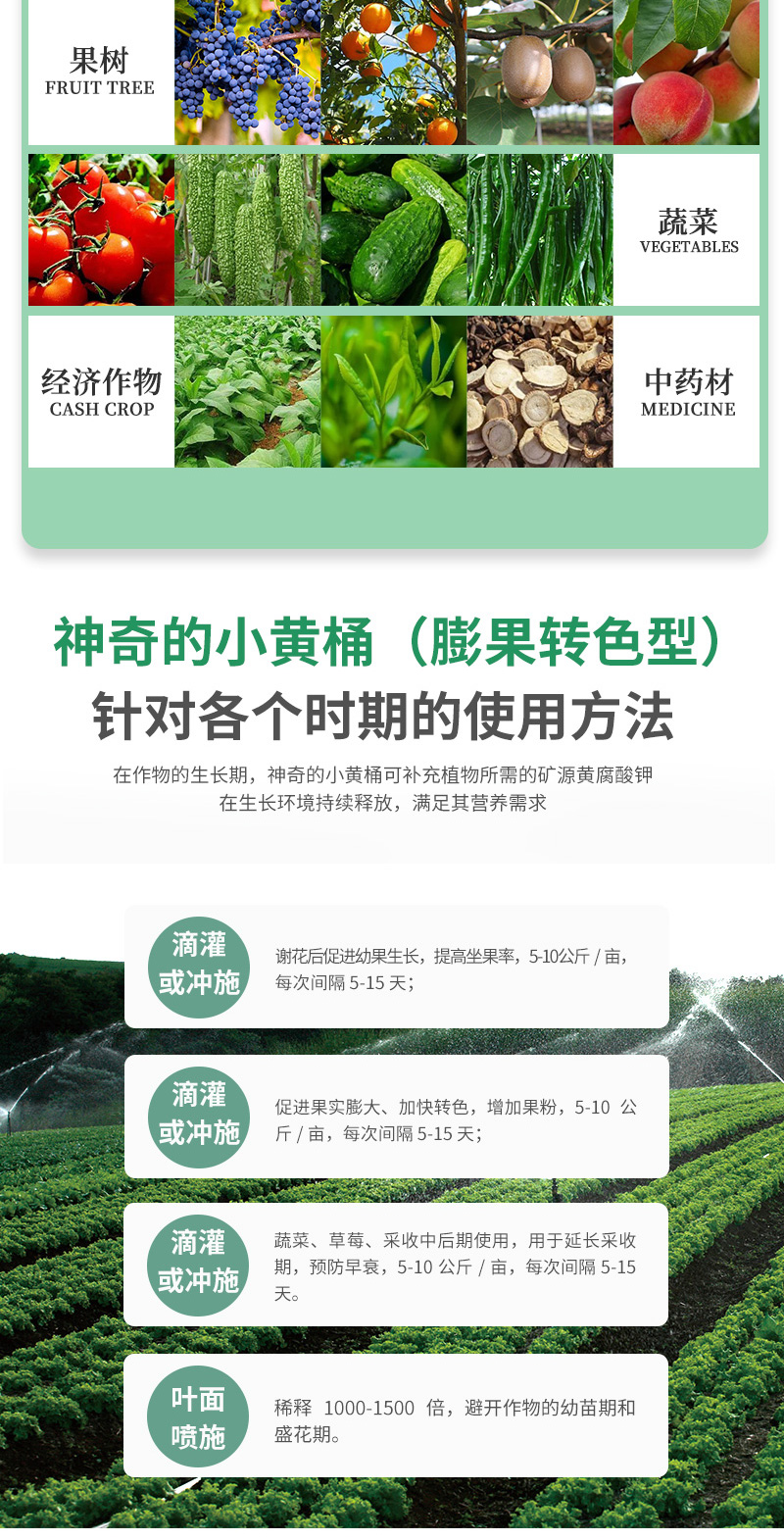 神奇的小黄桶（膨果）_08