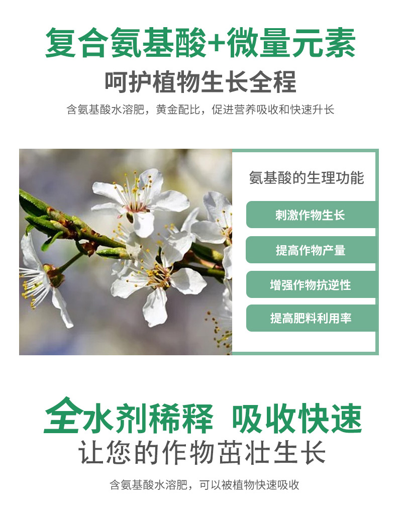 神奇的小黄桶（生根）_04