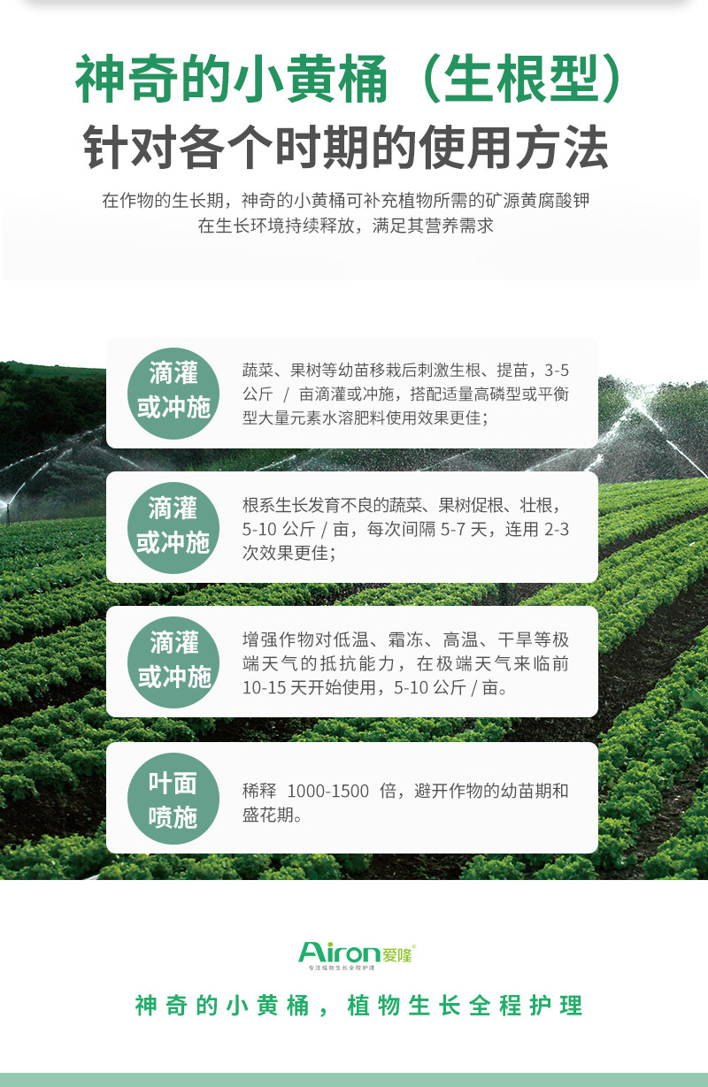 神奇的小黄桶（生根）_08