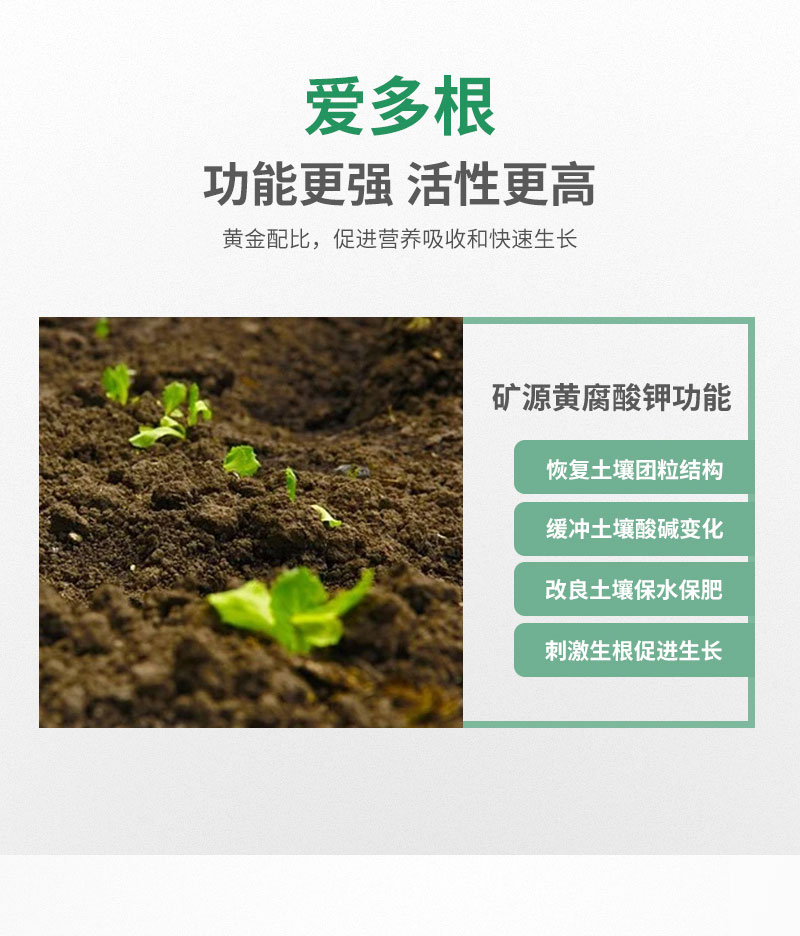 爱多根_04