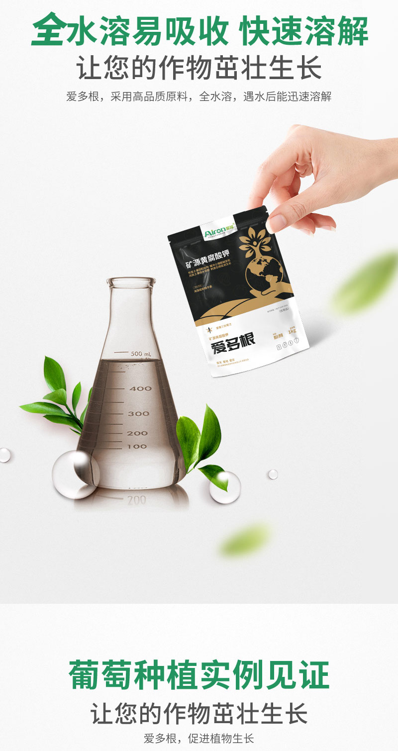 爱多根_05
