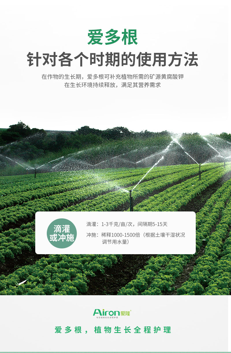 爱多根_08