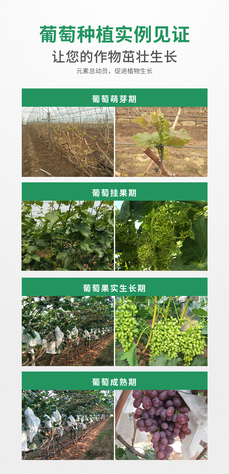 元素总动员_06