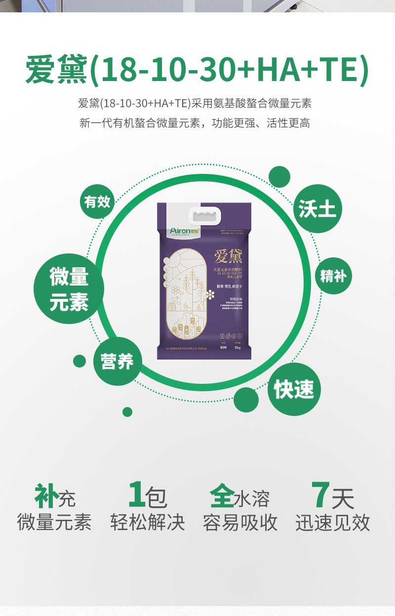 爱黛3