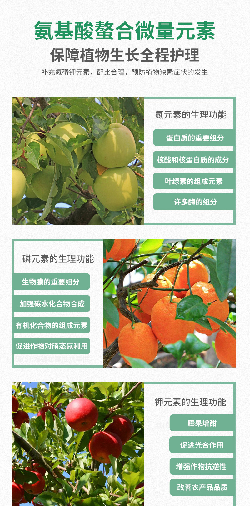 爱黛4