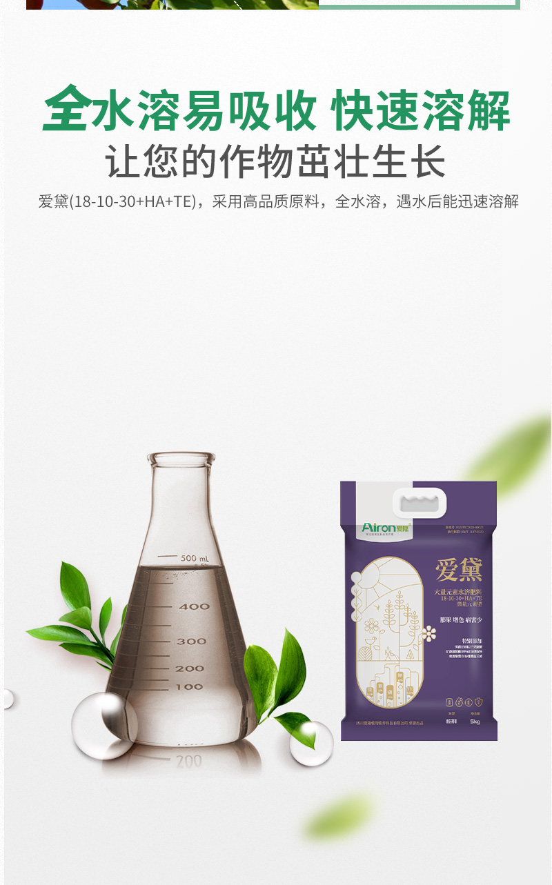爱黛5