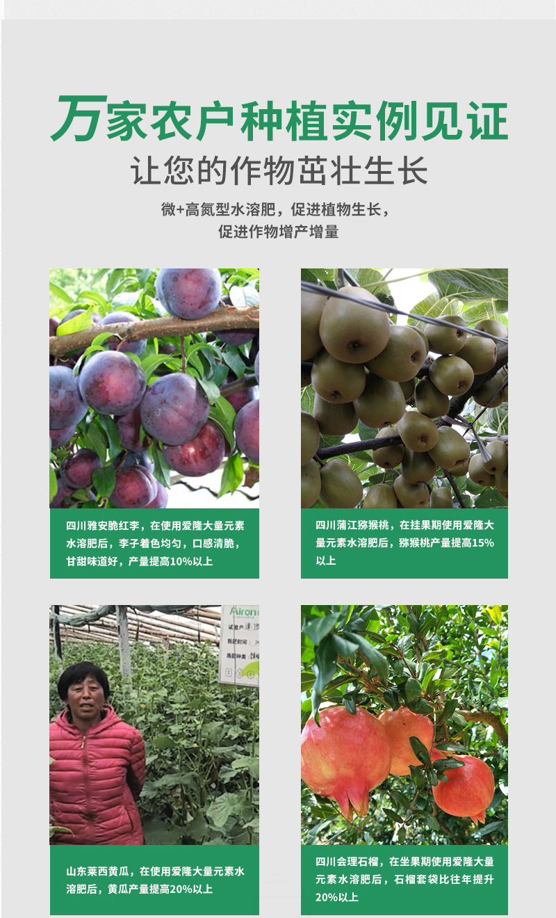 爱黛6