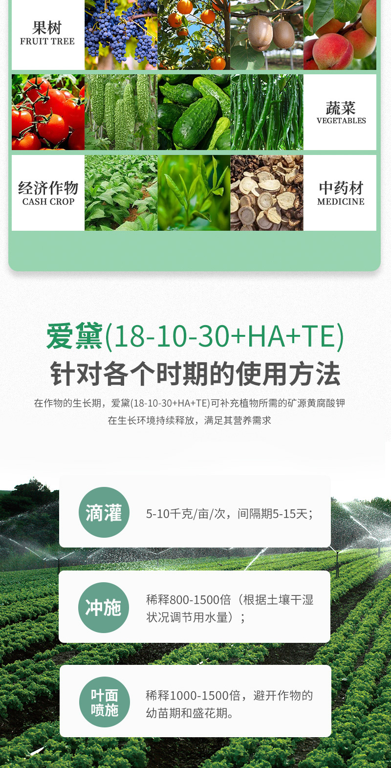 爱黛8