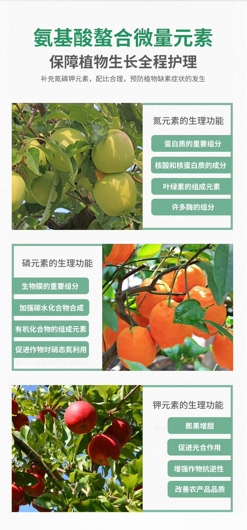 爱绿4
