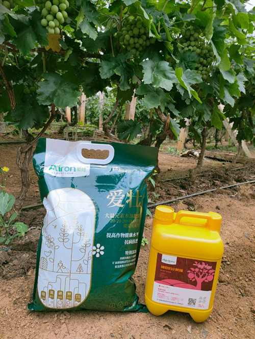 滴灌施肥用多少水合适