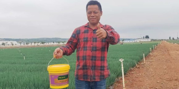 爱隆小黄桶