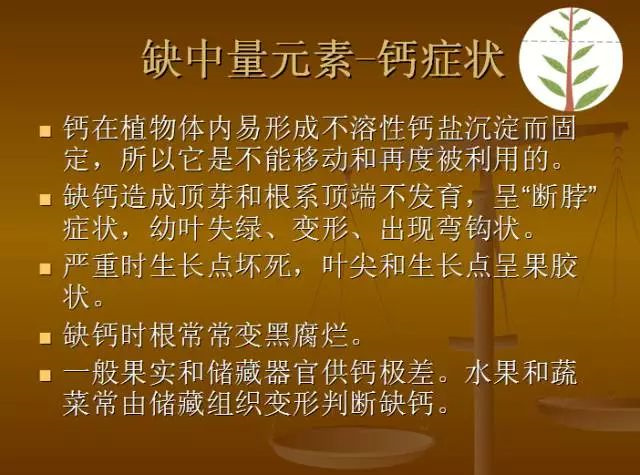 作物缺肥图解