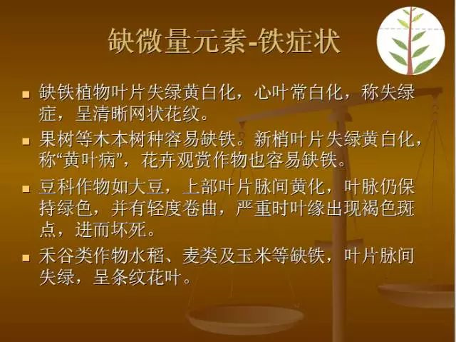 作物缺肥图解