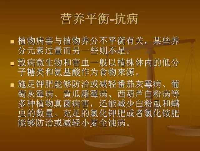 作物缺肥图解
