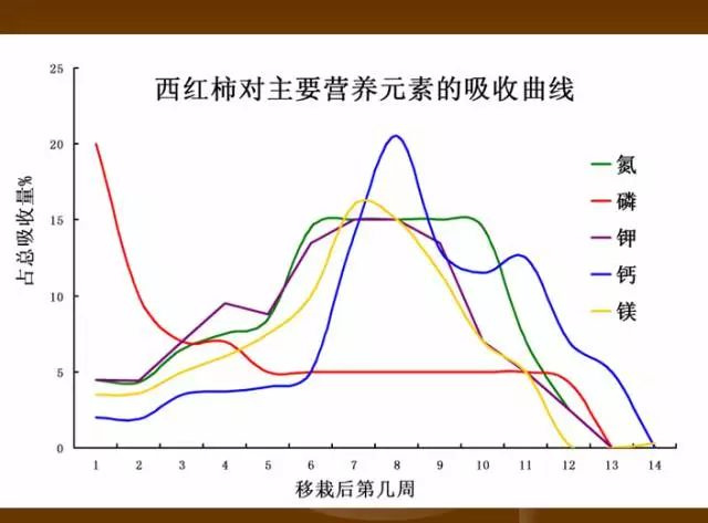 作物缺肥图解