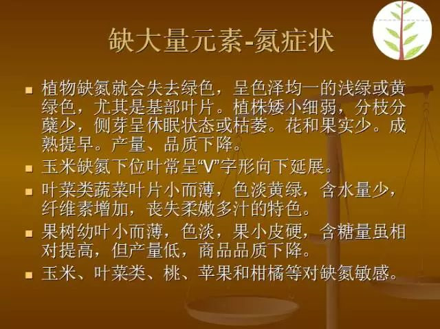 作物缺肥图解