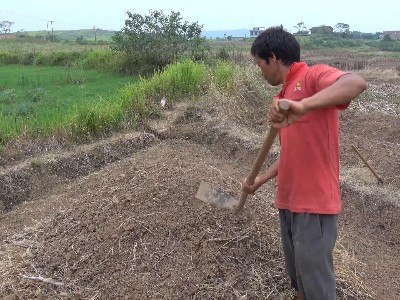 微生物肥