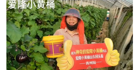 爱隆水溶肥小黄桶