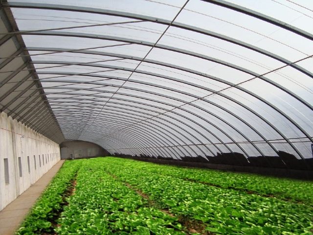 改善大棚蔬菜光照