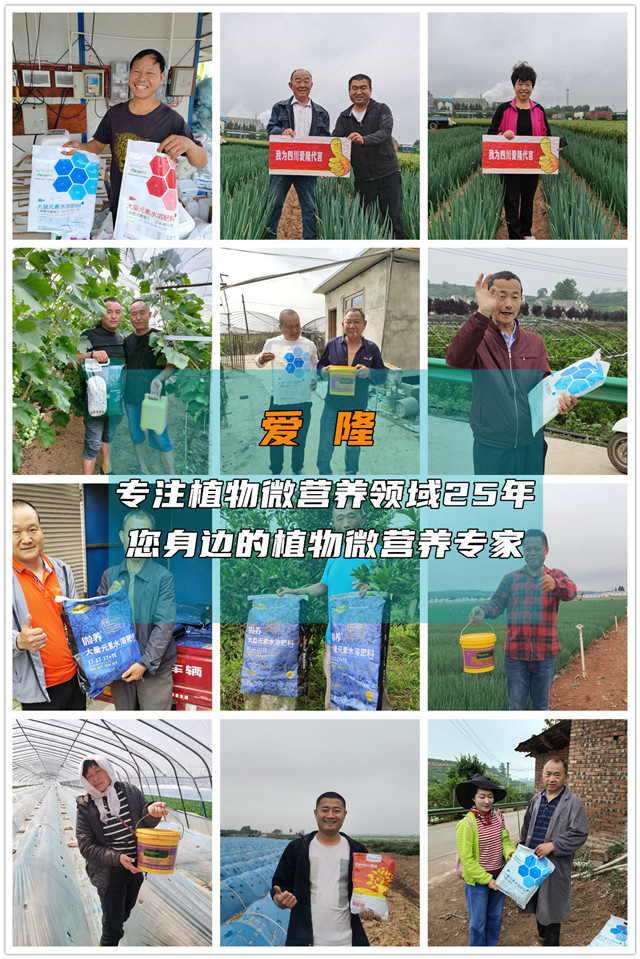 水溶肥用后多久见效
