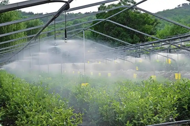 水溶肥的种类与选择