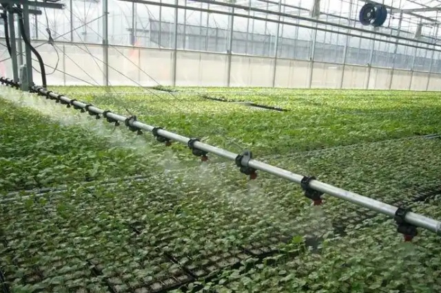 水溶肥的种类与选择