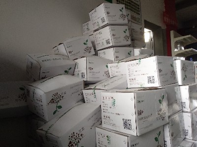 含腐植酸水溶肥