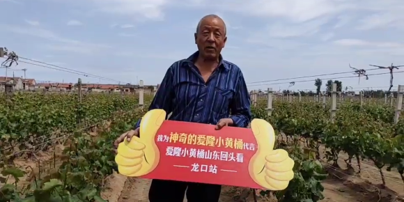 小黄桶