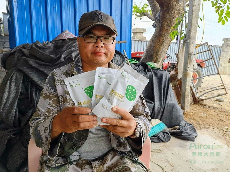 黄金搭档叶面肥