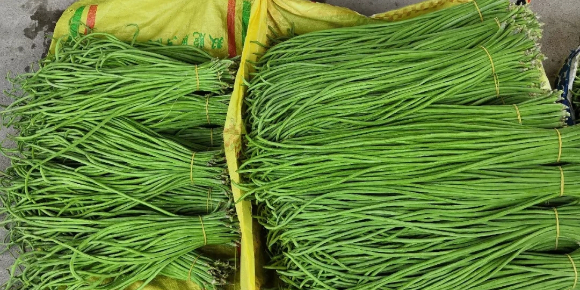 爱隆水溶肥豇豆使用效果