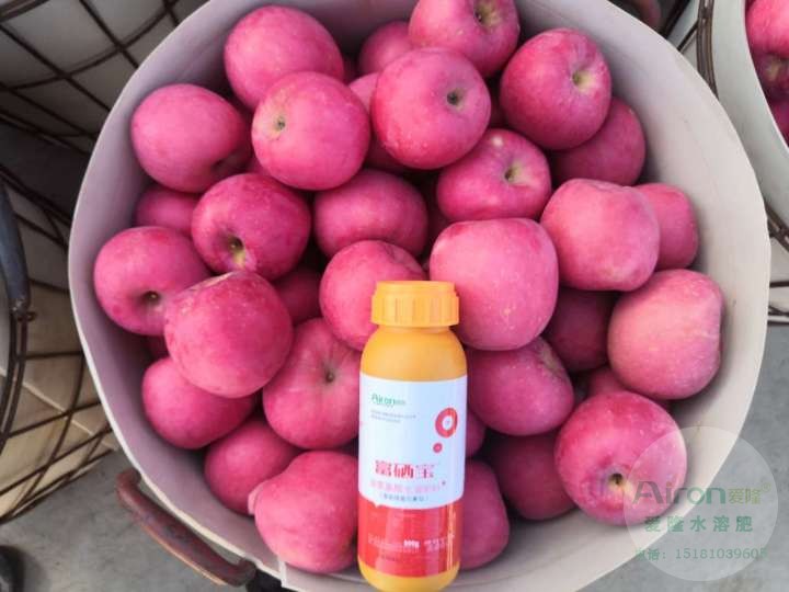 使用爱隆富硒肥料富硒宝的苹果